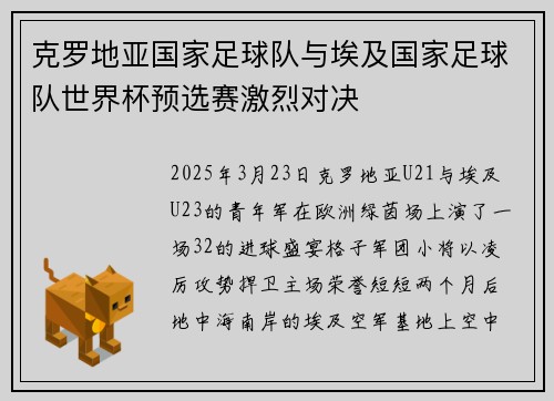 克罗地亚国家足球队与埃及国家足球队世界杯预选赛激烈对决